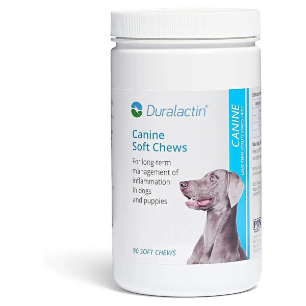 Dried Milk Protein Based Joint Health Supplement for Dogs and Puppies