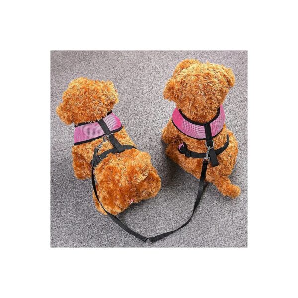 Dual Dog Leash Strap No-Tangle for Two Dogs Walking Safety