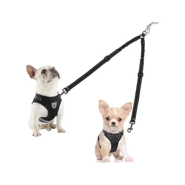 Dual Dog Leash for 2 Small or Large Dogs with 360 Swivel No Tangle Walking