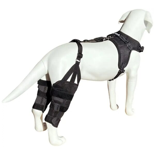 Dual Knee Stifle Brace Wrap for Dog ACL CCL Knee Support Recovery