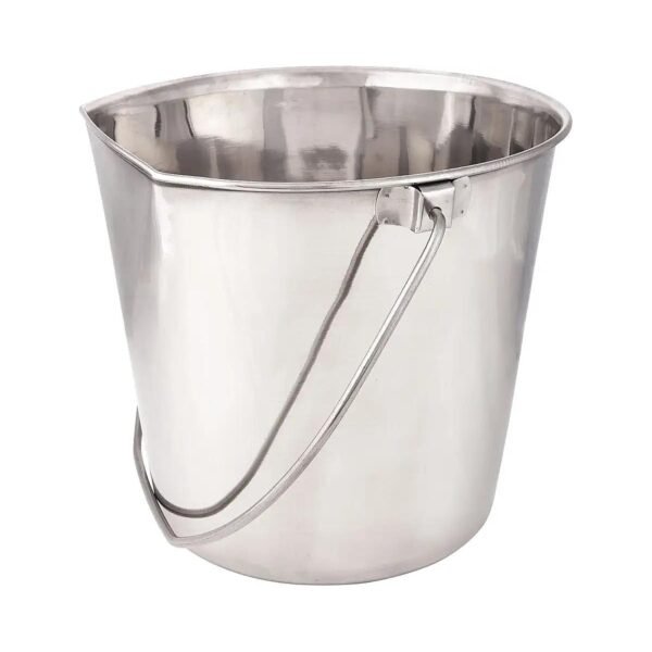 Durable 2-Quart Stainless Steel Pails for Crates and Kennels