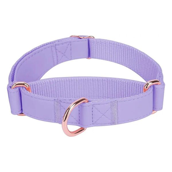 Durable Adjustable Martingale Dog Collar for Small Medium Large Dogs