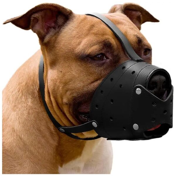 Durable Black Leather Muzzle for German Shepherd Pitbull Anti-Barking, Biting, Chewing