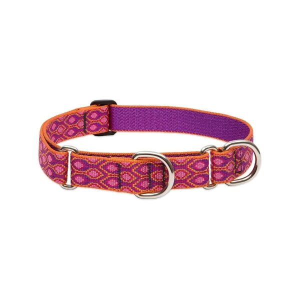 Durable Collar Solution for Medium to Large Dogs Featuring Limited-Slip Martingale Action