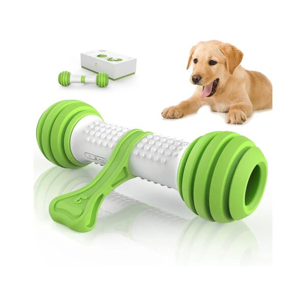 Durable Electronic Dog Toys for Medium & Large Dogs to Chase and Play