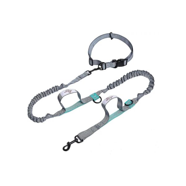 Durable Hands-Free Dog Leash for Running Walking Jogging and Hiking