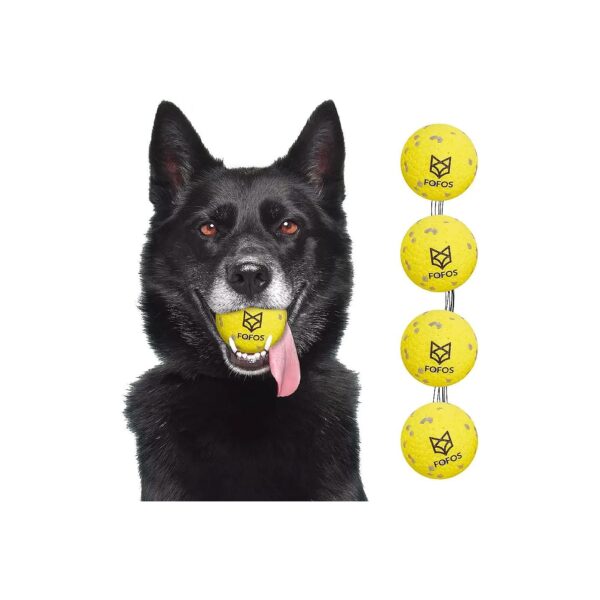 Durable Interactive Fetch Balls for Large Dogs, Medium Dogs, and Puppies