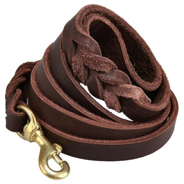 Durable Leather Dog Leash for Training and Walking Small to Large Dogs Brown/Gold Color