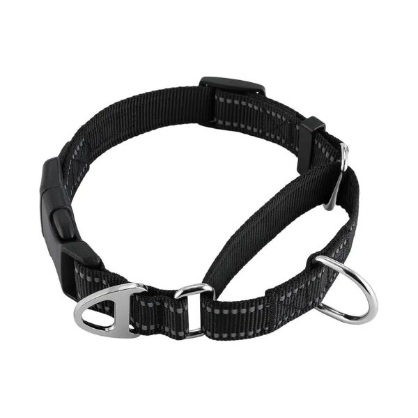 Durable Martingale Collar for Small Medium Large Dog Training and Walking Safety