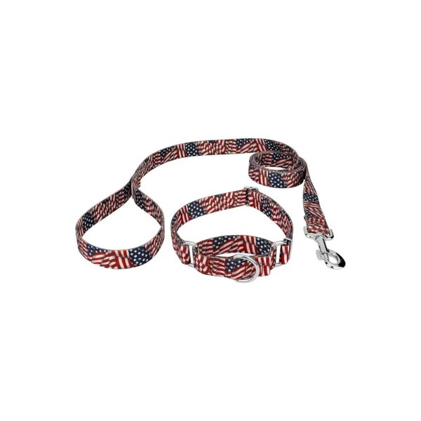 Durable Martingale Dog Collar Leash Set Featuring American Flag Pattern Design