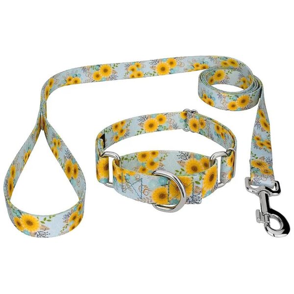 Durable Martingale Dog Collar and Leash Set with springtime Designs for Medium Neck Size