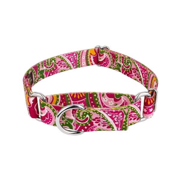 Durable Martingale Dog Collar with Pink Paisley Pattern for Pet Families