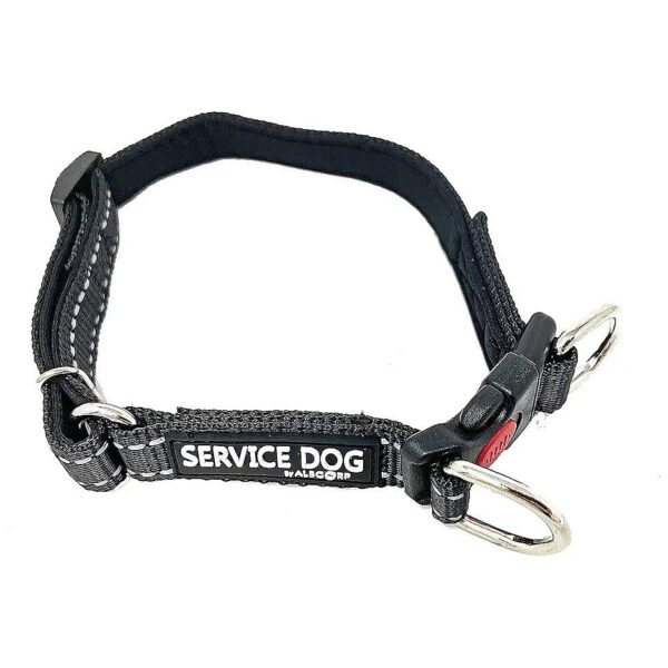 Durable Nylon Collar with Neoprene Padding and D-Ring for Leash and ID