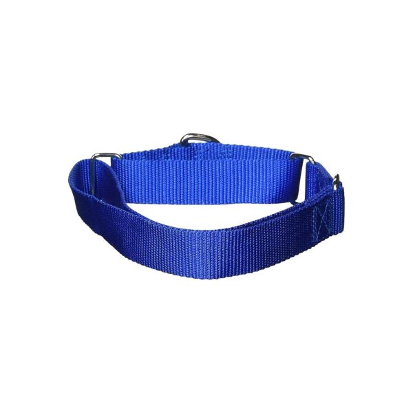 Durable Nylon Martingale Dog Collar for Necks 18-26, Blue