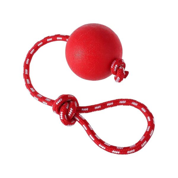 Durable Rubber Chew Toy Ball with Rope for Interactive Dog Training and Exercise