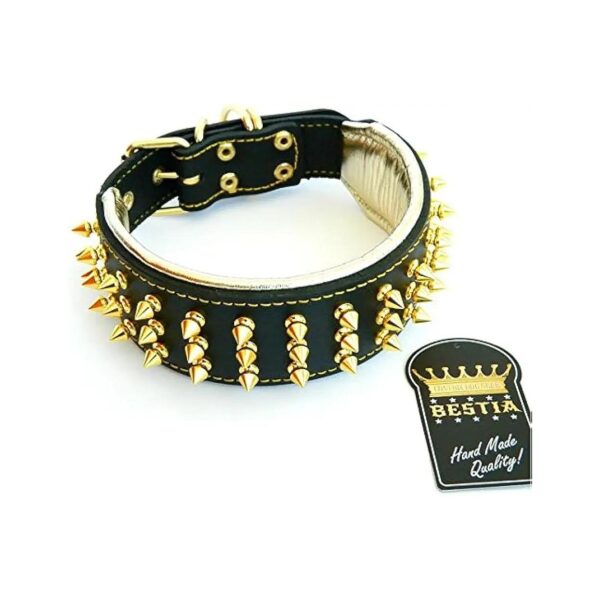 Durable and Comfortable Gold Studded Leather Collar for Big Dogs