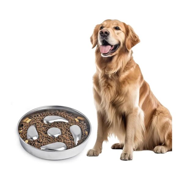 Durable and Long-Lasting Stainless Steel Dog Bowl for Small, Medium, and Large Breeds