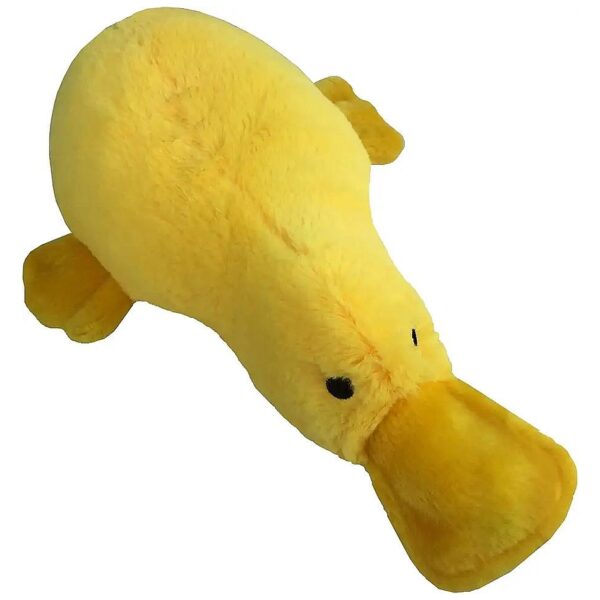 Durable and Long-lasting Plush Squeaker Dog Toys for All Pets