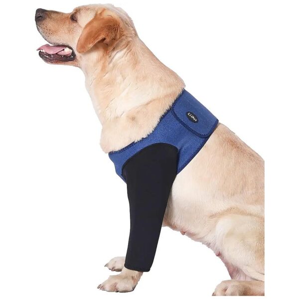 Durable and Waterproof Dog Wound Recovery Sleeve for Pet Health