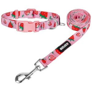 Easy Care Strawberry Patterned Nylon Collar and Leash for Small to Extra Small Dogs