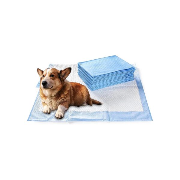 Easy Clean Dog Pee Pads with Built-in Quick Dry Gel for Puppy Training