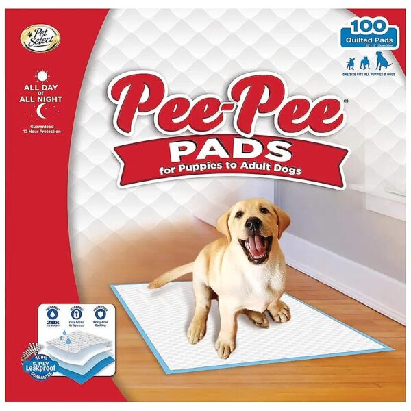 Easy Cleanup with 100 Count Premium Dog Training Pads