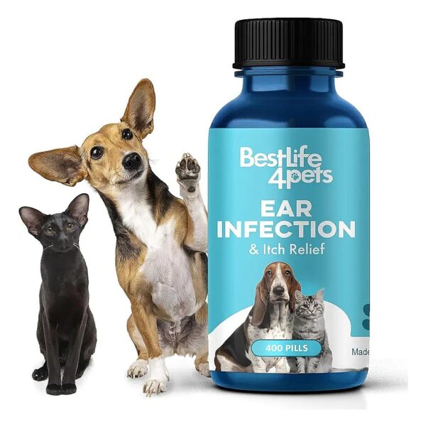 Easy Ear Infection Relief for Pets of All Breeds and Sizes