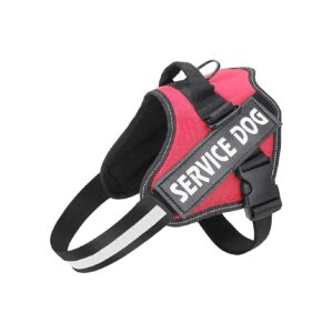 Easy To Put On and Take Off Dog Harness for Small, Medium, and Large Dogs