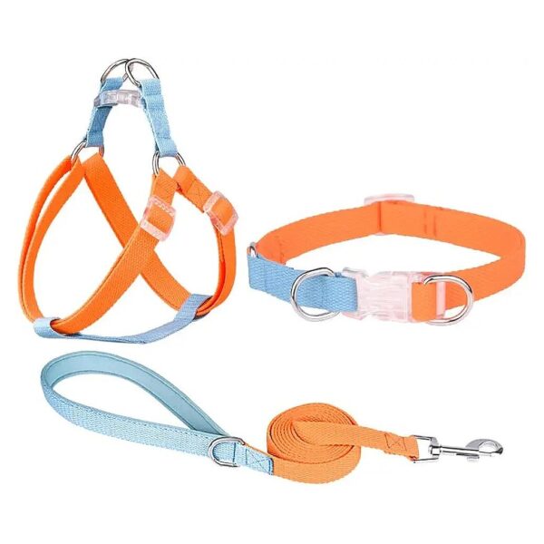 Easy Walk Dog Halter Harness with No Pull Technology for Small Breeds Orange-Blue