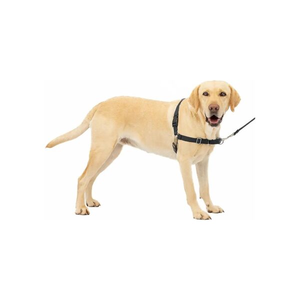 Easy Walk Dog Harness for Large Dogs with Chest Rest and Secure Leash