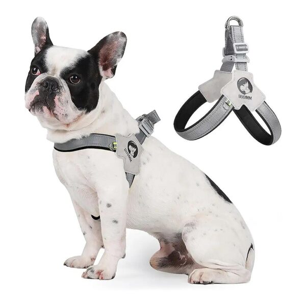 Easy Walk Dog Harness with Adjustable Chest for Small Breed Dogs with Tracheal Problems