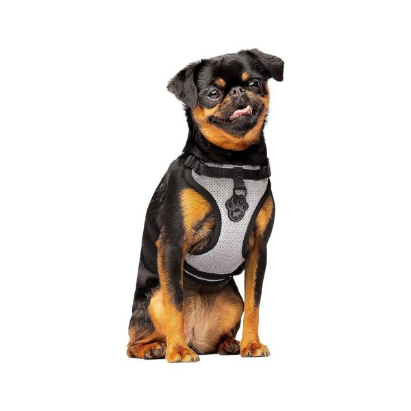 Easy Walk Dog Harness with Breathable Mesh and Adjustable Width for Comfort