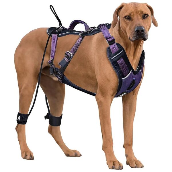 Easy Walk No Pull Dog Harness for Large Dogs Heavy Duty Tactical Design