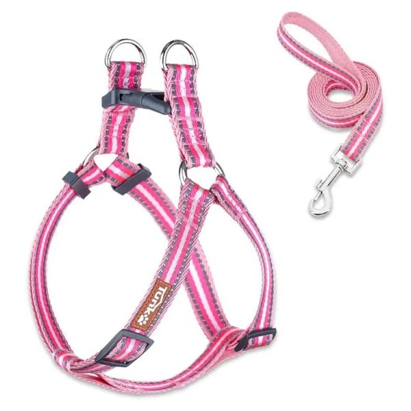 Easy Walking No Pull Dog Harness with Reflective Safety Nylon and Adjustability