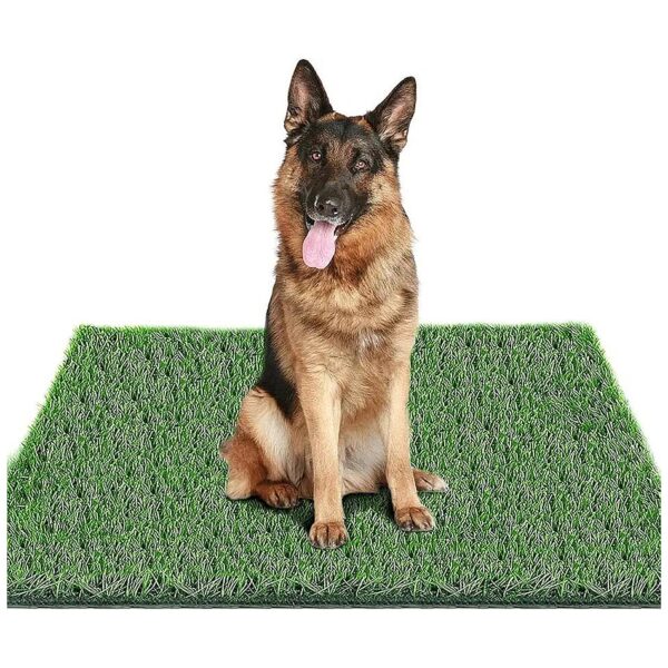 Easy to Clean Artificial Grass for Dog Potty Training and Multipurpose