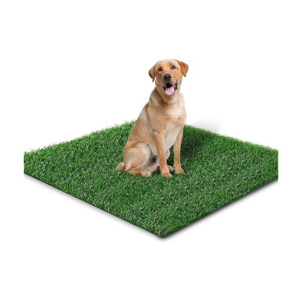 Easy to Clean Dog Artificial Grass for Indoor and Outdoor Use