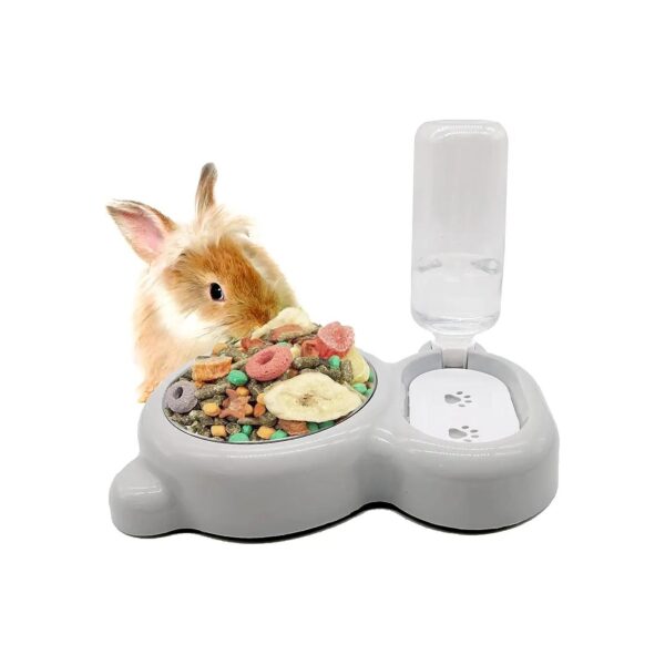 Easy to Clean Pet Double Dishes with Automatic Waterer Bottle for Kitten Puppy Bunny