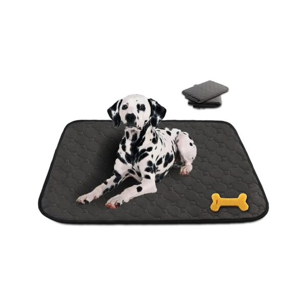 Easy to Clean and Washable Pet Pee Pads with Quick Absorbing and Leakproof Properties