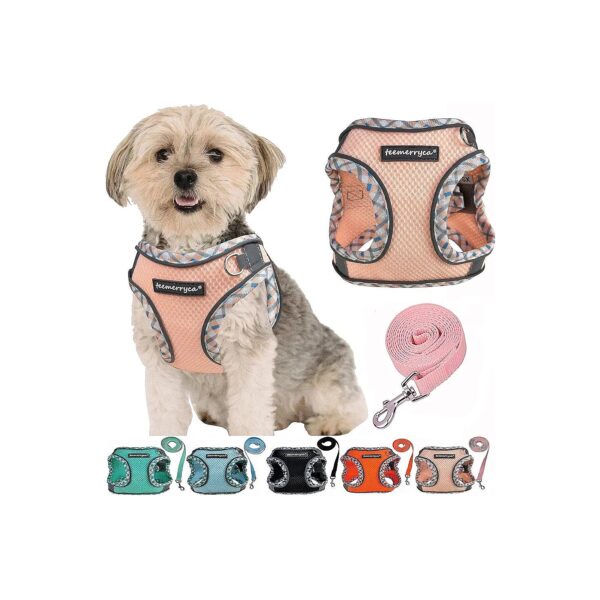 Easy to Put On/Off Dog Harness with Step-In Design for Small Sizes