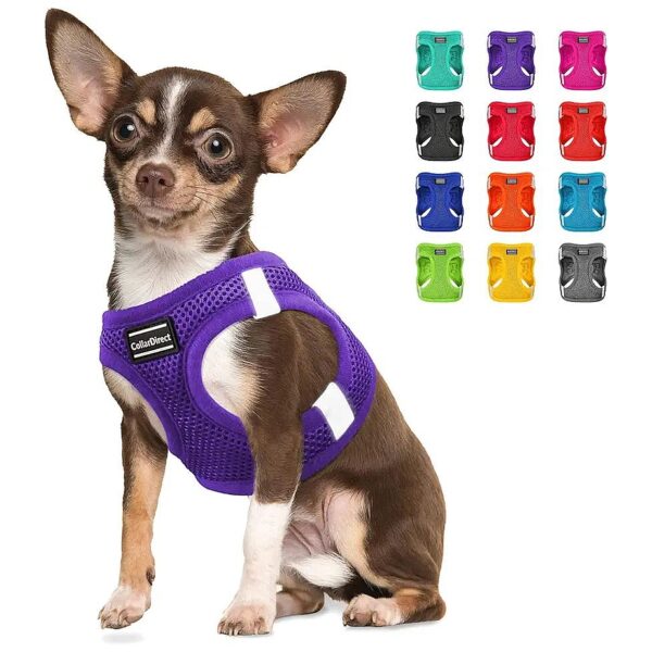 Easy to Use, Comfortable, and Reflective Dog Harness for Small Dogs