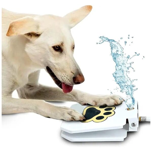 Easy to Use, Paw-Activated Dog Water Fountain for Unlimited Water