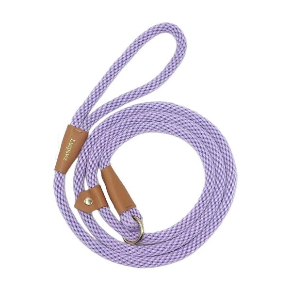 Easy to Use Slip Leash for Dogs with Adjustable Neck and 6FT Length