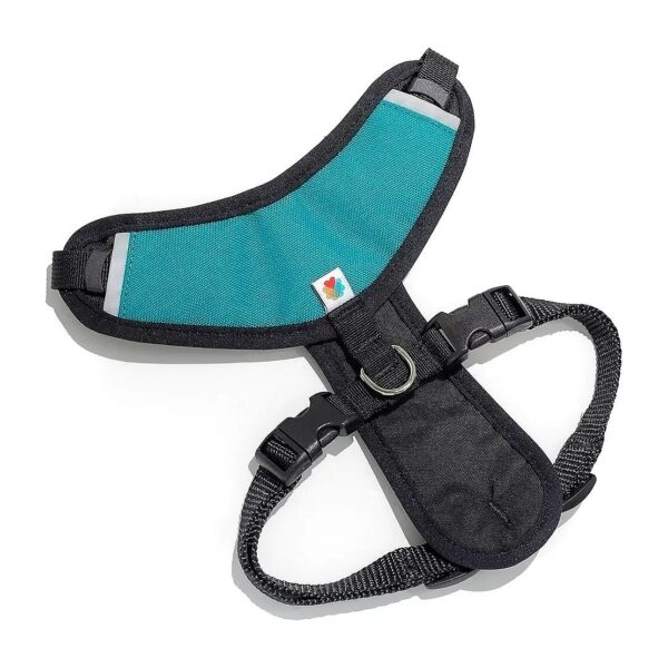 Easy to Use Turquoise Dog Harness for Small Medium and Large Dogs