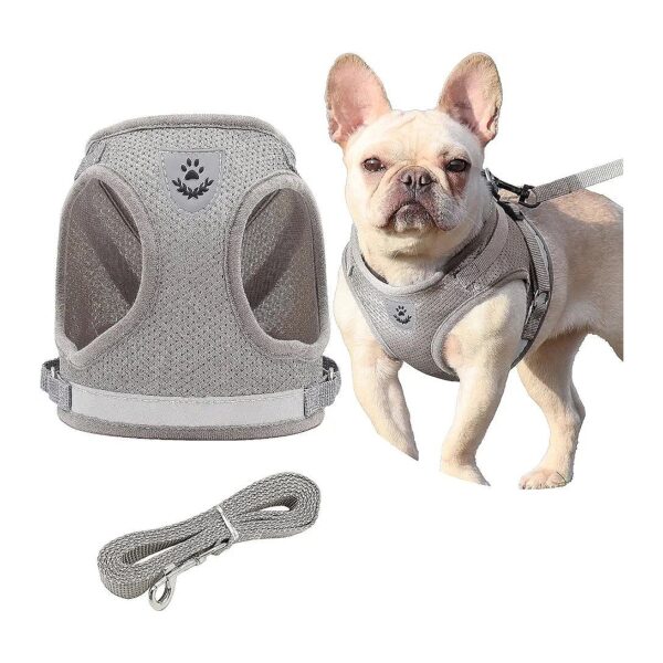 Easy-On Step-in Dog Harness and Leash Set with Reflective Strips for Small Cats and Dogs