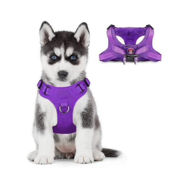 Easy-On Step-in Dog Harness with Reflective Trim for Small Dogs and Cats