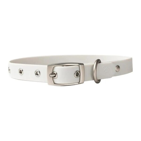 Easy-to-Clean Dog Collar with Metal Buckle and Nylon Strap