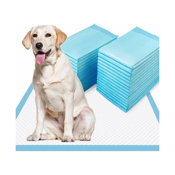 Eco-Friendly XL Puppy Pads 28x34 for All-Purpose Use