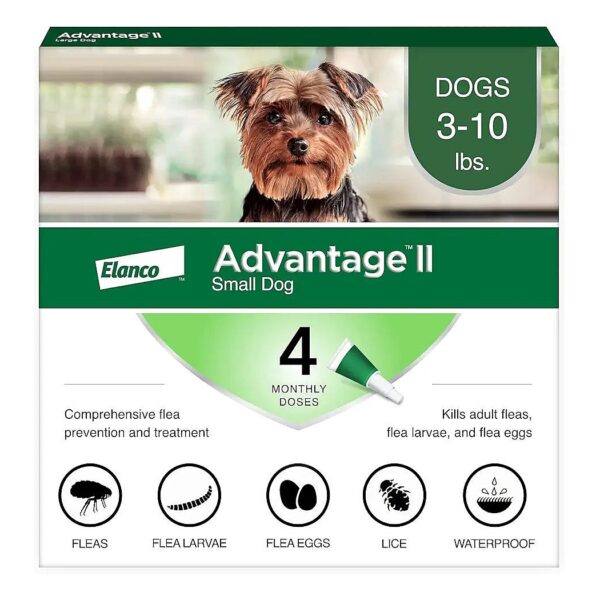 Effective Anti-flea Treatment for Small Dogs, 3-10 Lbs, 4-month Supply, Vet-recommended