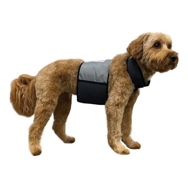 Effective Cooling Dog Gear with Vest and Collar for Dogs with Medium Girth