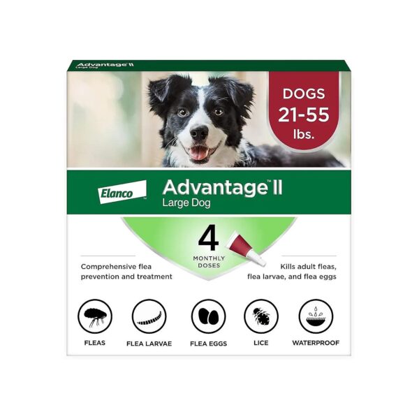 Effective Flea Treatment and Prevention for Large Dogs 21-55 lbs